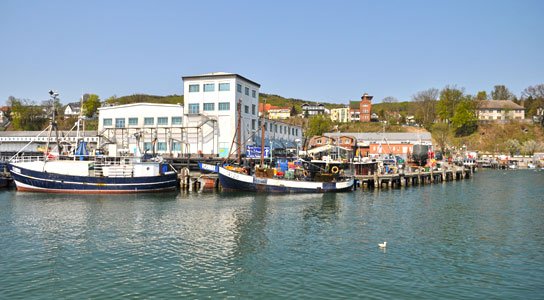 Hafen von Sassnitz mit Fischerbooten